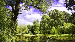 Нежная музыка для души, музыка для сна 4k