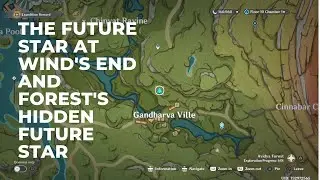 Genshin Impact || The Future Star at Wind's End and Forest's Hidden Future Star