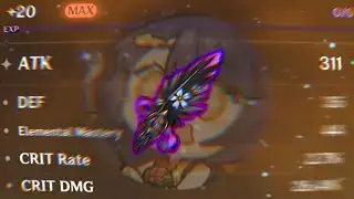 This artifact is a universal piece... | Genshin Impact