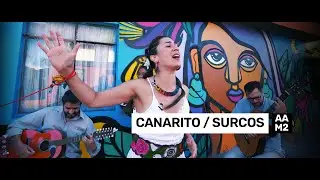 #AcordeAlMuro Canarito · Surcos - Indolencia / Mujer Diosa