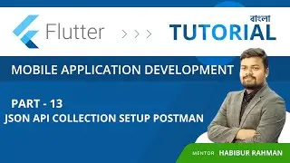 Postman setup for api 's  json collection beginners flutter tutorial