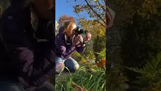 Behind the Scenes: Ferns with cool gear #lensbaby #photographer #behindthelens