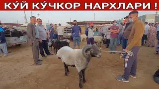 ХОРАЗМ КУ́Й КУ́ЧКОР НАРХЛАРИ 8-СЕНТЯБР 2021-ЙИЛ ХОРАЗМ БОЗОР.