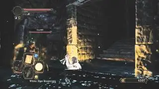Dark Souls 2: Prop Hunt FOR NARNIA!!!