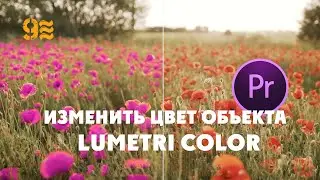 Как изменить цвет объекта в Premiere Pro. LUMETRI COLOR.