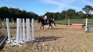 Cynthia et Bashko chez Carole. Galop.