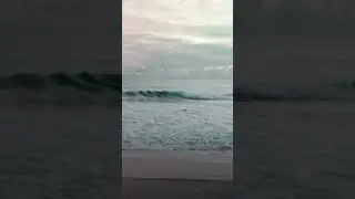 Good morning from "Surfers Beach" 🌊💛