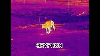 HIKMICRO Gryphon HM-TS26-35QG/WLV-GQ35L