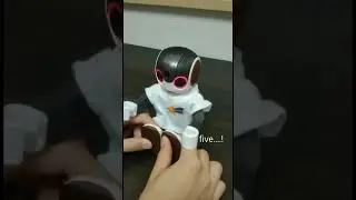 NOAH's Exercise