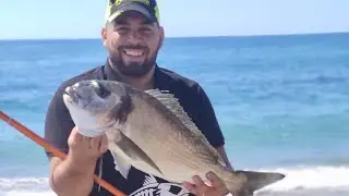 Dorada XL a Surfcasting 2020