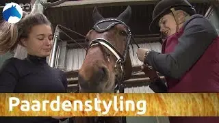 Zo style je je paard | NH Bokt TV