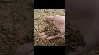 One Tabel spoon Soil contain.....?