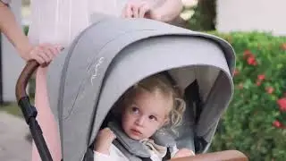 Nuna Mixx Next Stroller