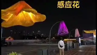 street decorations event sensitive led  flower