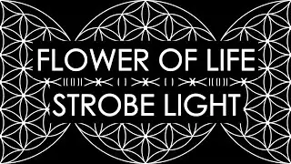 Flower of Life Strobe Light
