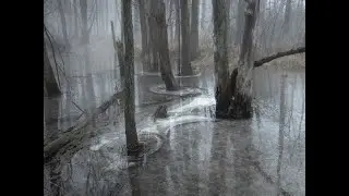 Untitled.mp4