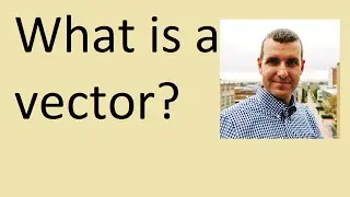 What is a vector?
