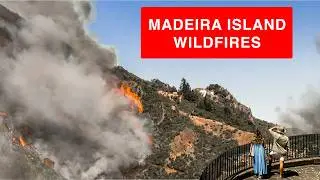The Madeira Wildfires Keep Getting Worse!!
