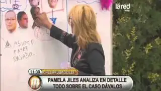 Pamela Jiles analizando caso Sebastián Dávalos Bachelet.