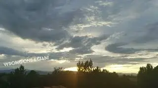 great time to not take your dog out