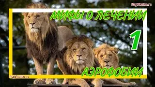 Мифы о лечении аэрофобии. Полезное видео для тех, кто боится летать.✈️ Миф 1