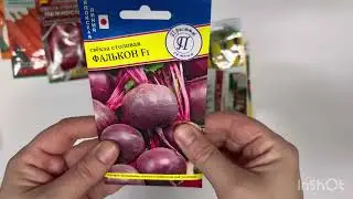 Что Покупает Новичок. Семена 2024