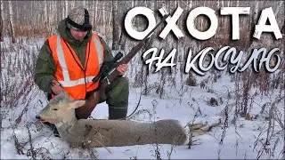 Охота на косулю 2021 | Мой первый трофей из Ata Turqua