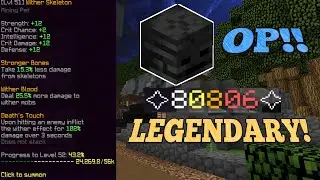 LEGENDARY WITHER SKELETON PET IS OP!! | Hypixel Skyblock Damage Test