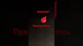 22 мая 2024 г.