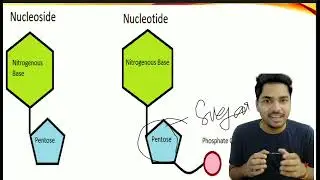 MOLECULAR BASIS OF INHERITANCE 01 I DNA I RNA I NUCLEOSIDE I NUCLEOTIDE I NUCLEIC ACID I UMANG BIO I