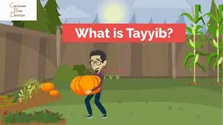 What is Tayyib?