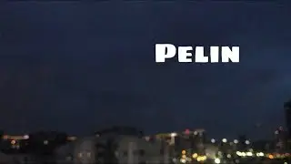 Nova Norda-Pelin(cover)