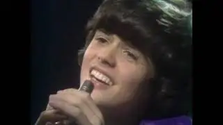 Donny Osmond  - Why