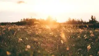 BlauDisS x Sasha Luch x Elvya - Terra Mater
