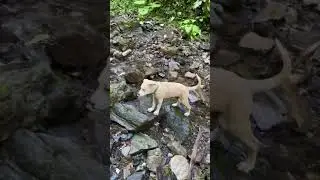 Счастливый Раф