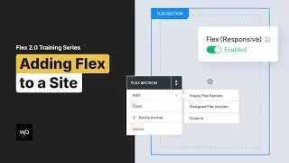 Adding Flex to a Site | Flex Training by Without Code