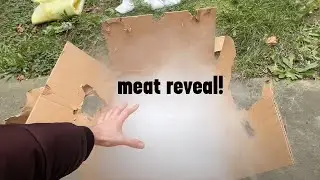 unboxing snake food (dinner time)