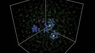 A Primordial Particle System in three dimensions