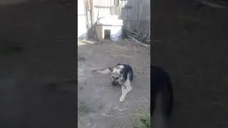 от того ртиьэ. того  Рим иг