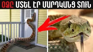 8 ԴԵՊՔ ԵՐԲ ԿԵՆԴԱՆԻՆԵՐԸ ՆԵՐԽՈԻԺԵԼ ԵՆ ՄԱՐԴԿԱՆՑ ՏՆԵՐԸ║ԿՈԿՈՐԴԻԼՈՍ ՏԱՆԸ