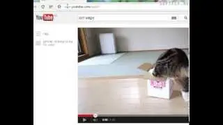 Как скачать видео с YOUTUBE