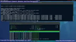 RecoMadeEasy® AudioVisual Recognition Demonstration
