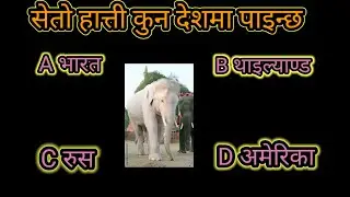 GK questions Answers .सेतो हात्ती कुन देशमा पाइन्छ। GK questions Answers in Nepali.