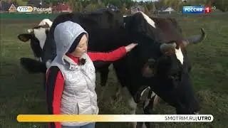 Молочная ферма Зайцево на телеканале 