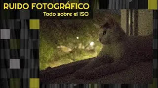 Todo sobre el ruido fotográfico - ✨Fotografía básica 📷