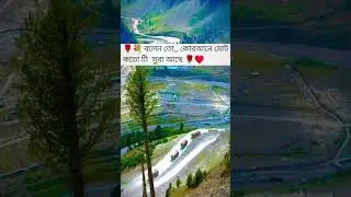 asslamulaikum, আপনার জন্য প্রশ্ন 🌹♥️💐🥰