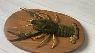 Чучело из рака просто рак 🦞