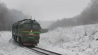 The snowy forest is filled with the sounds of an approaching train.