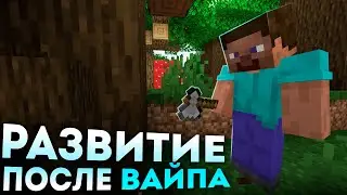 РАЗВИТИЯ ПОСЛЕ ВАЙПА на Mst network |  Анархия мст нетворк