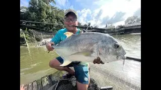 Fishing at the Singapore GT Pond (Aunty Pond) with eging rod